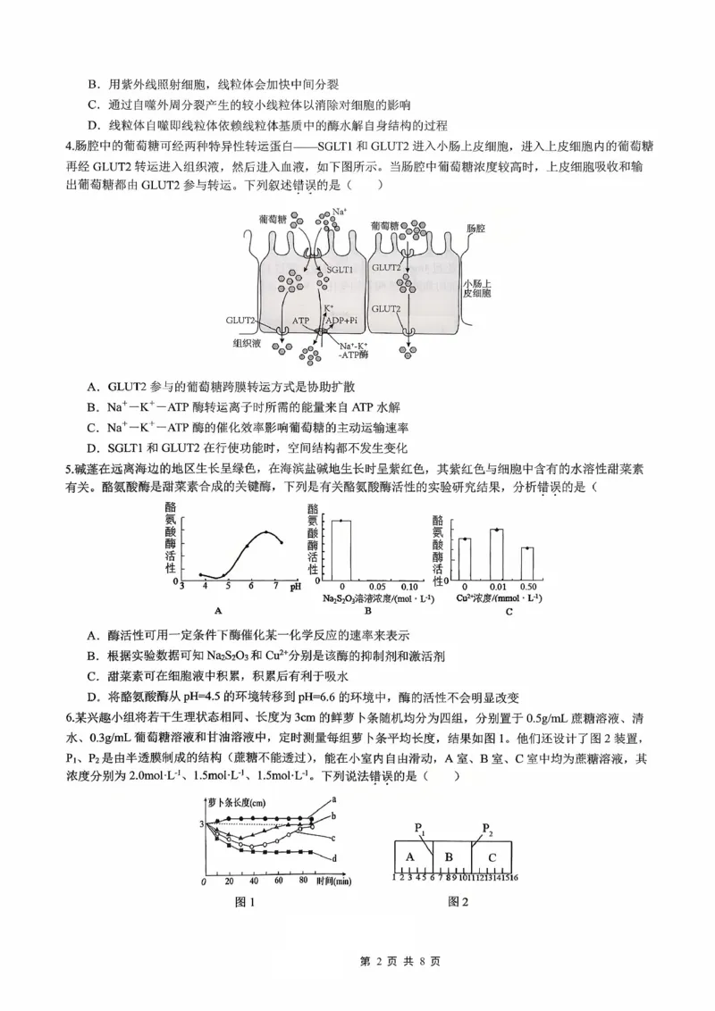 育才&middot;鲁巴&middot;万中高2026届高三（上）10月联合诊断性考试生物_2025年10月_251016重庆育才中学、鲁能巴蜀中学、万州高级中学高2026届高三10月联合考试（全科）