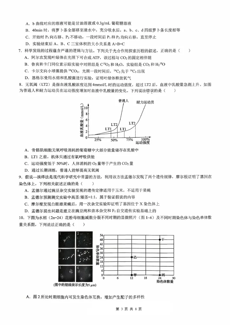 育才&middot;鲁巴&middot;万中高2026届高三（上）10月联合诊断性考试生物_2025年10月_251016重庆育才中学、鲁能巴蜀中学、万州高级中学高2026届高三10月联合考试（全科）