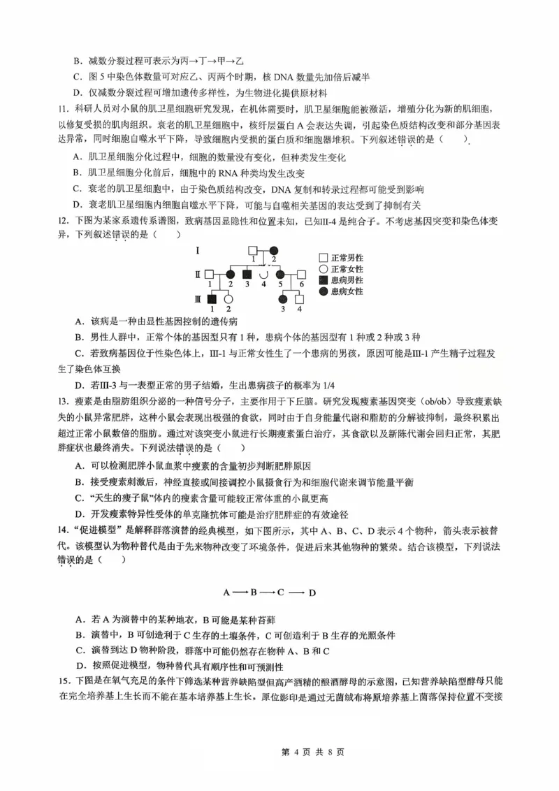 育才&middot;鲁巴&middot;万中高2026届高三（上）10月联合诊断性考试生物_2025年10月_251016重庆育才中学、鲁能巴蜀中学、万州高级中学高2026届高三10月联合考试（全科）