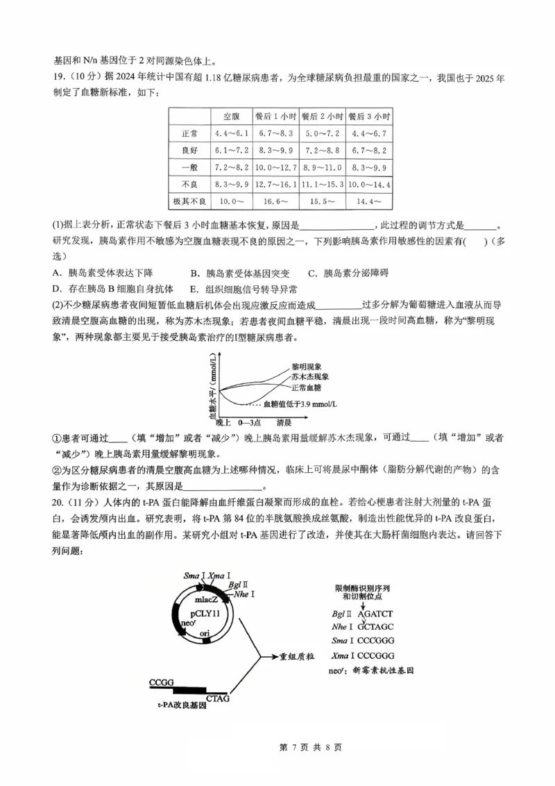 育才&middot;鲁巴&middot;万中高2026届高三（上）10月联合诊断性考试生物_2025年10月_251016重庆育才中学、鲁能巴蜀中学、万州高级中学高2026届高三10月联合考试（全科）