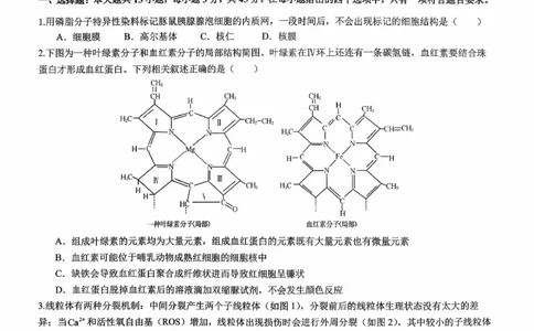 育才&middot;鲁巴&middot;万中高2026届高三（上）10月联合诊断性考试生物_2025年10月_251016重庆育才中学、鲁能巴蜀中学、万州高级中学高2026届高三10月联合考试（全科）