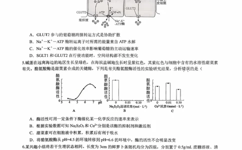 育才&middot;鲁巴&middot;万中高2026届高三（上）10月联合诊断性考试生物_2025年10月_251016重庆育才中学、鲁能巴蜀中学、万州高级中学高2026届高三10月联合考试（全科）