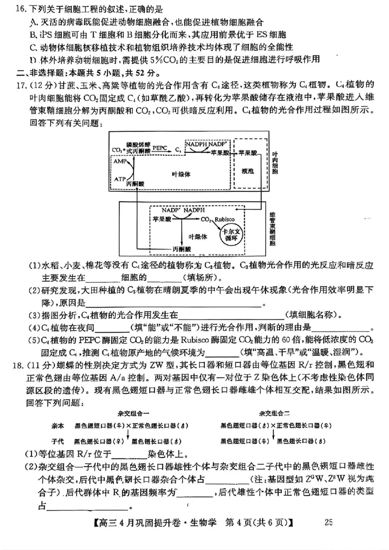 山西省部分学校2025届高三下学期4月考试生物试题_2025年4月_250430山西省部分学校2024-2025学年高三下学期4月巩固提升