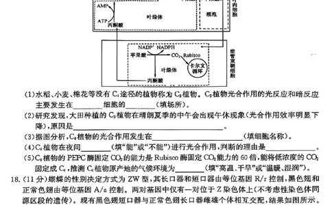 山西省部分学校2025届高三下学期4月考试生物试题_2025年4月_250430山西省部分学校2024-2025学年高三下学期4月巩固提升