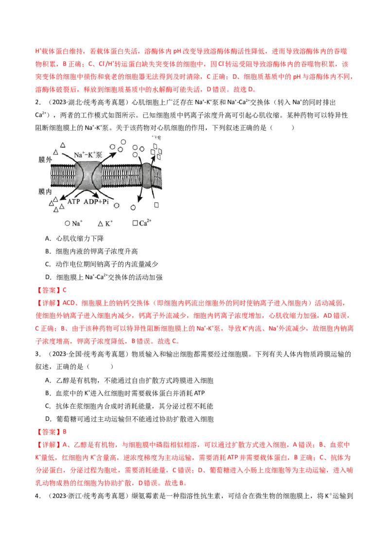 专题03物质运输（解析卷）_近10年高考真题汇编（必刷）_十年（2014-2024）高考生物真题分项汇编（全国通用）_十年（2014-2023）高考生物真题分项汇编（全国通用）