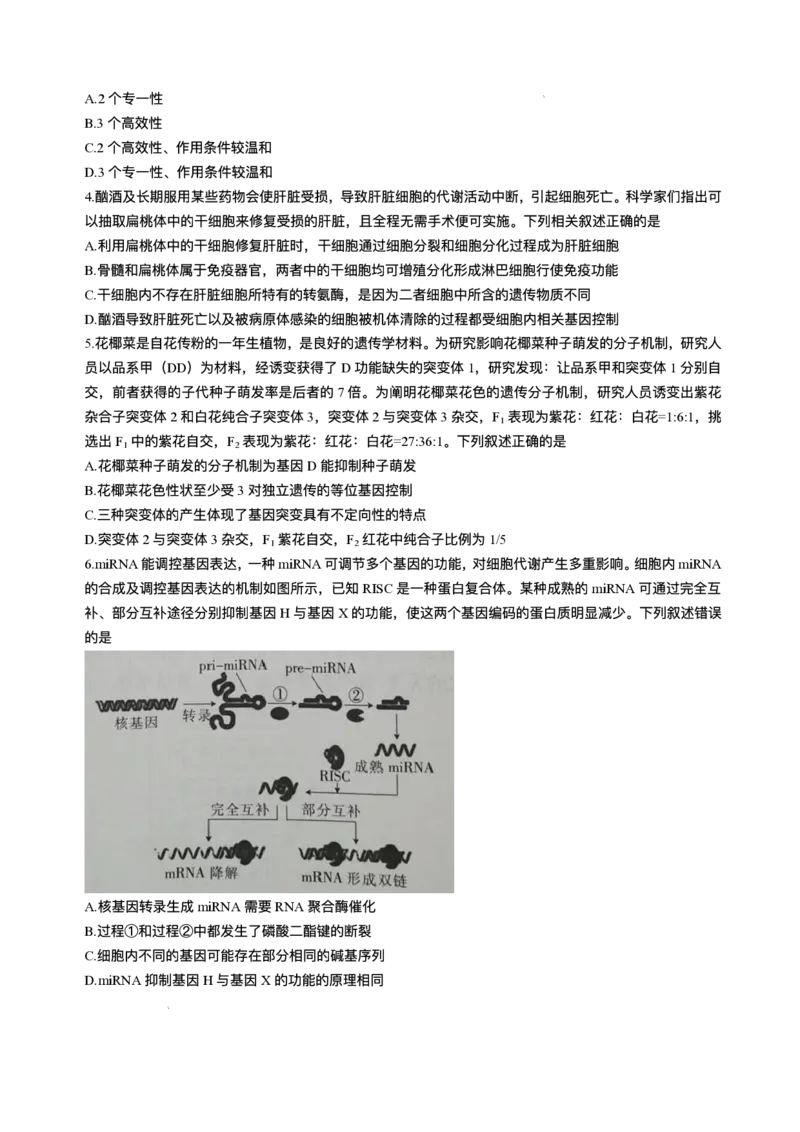 江西省上进联考2024-2025学年高三下学期3月联合检测生物试题（含答案）_2025年3月_250312江西省上进联考2024-2025学年高三下学期3月联合检测（全科）