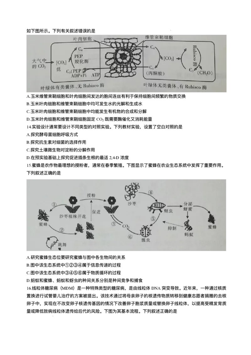江西省上进联考2024-2025学年高三下学期3月联合检测生物试题（含答案）_2025年3月_250312江西省上进联考2024-2025学年高三下学期3月联合检测（全科）