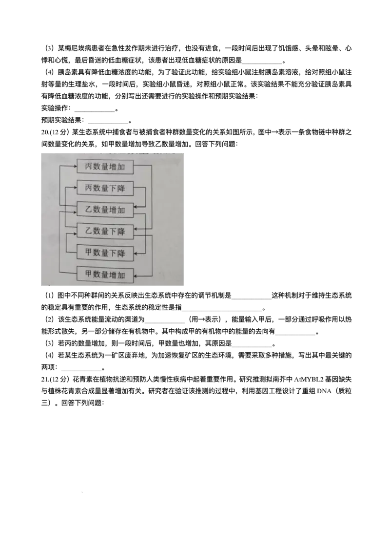 江西省上进联考2024-2025学年高三下学期3月联合检测生物试题（含答案）_2025年3月_250312江西省上进联考2024-2025学年高三下学期3月联合检测（全科）