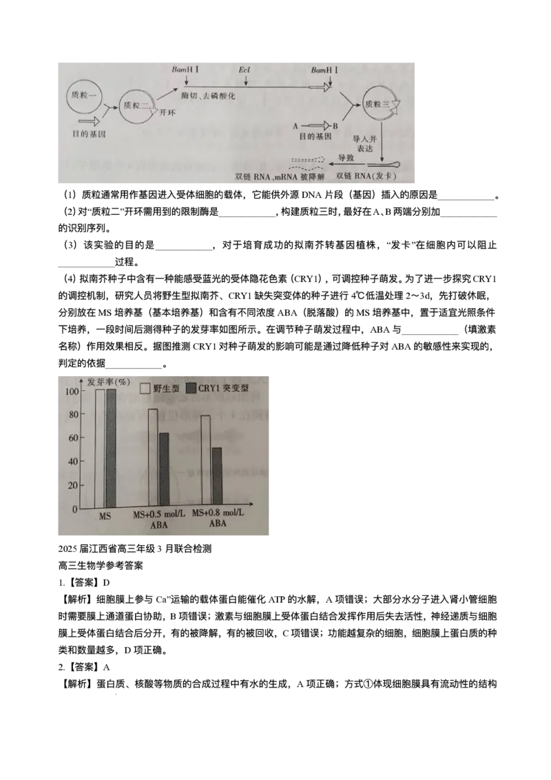 江西省上进联考2024-2025学年高三下学期3月联合检测生物试题（含答案）_2025年3月_250312江西省上进联考2024-2025学年高三下学期3月联合检测（全科）