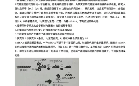 江西省上进联考2024-2025学年高三下学期3月联合检测生物试题（含答案）_2025年3月_250312江西省上进联考2024-2025学年高三下学期3月联合检测（全科）