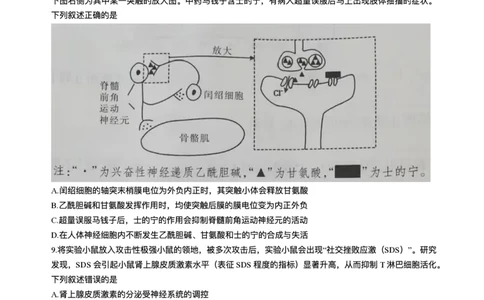 江西省上进联考2024-2025学年高三下学期3月联合检测生物试题（含答案）_2025年3月_250312江西省上进联考2024-2025学年高三下学期3月联合检测（全科）