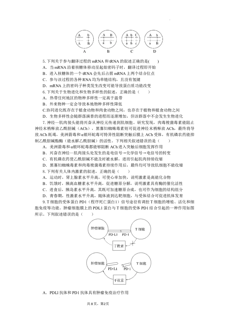 湖北省部分高中协作体2024-2025学年高三下学期4月期中联考生物_2025年4月_250416湖北省部分高中协作体2024-2025学年高三下学期4月期中联考