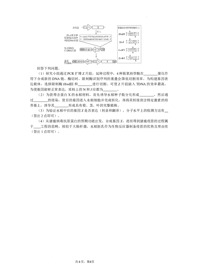 湖北省部分高中协作体2024-2025学年高三下学期4月期中联考生物_2025年4月_250416湖北省部分高中协作体2024-2025学年高三下学期4月期中联考