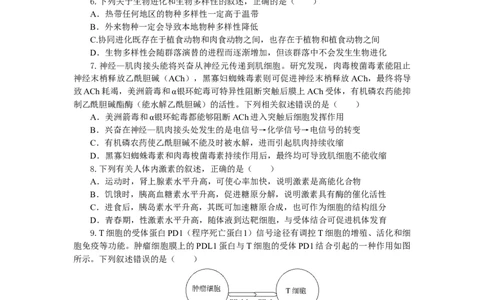 湖北省部分高中协作体2024-2025学年高三下学期4月期中联考生物_2025年4月_250416湖北省部分高中协作体2024-2025学年高三下学期4月期中联考