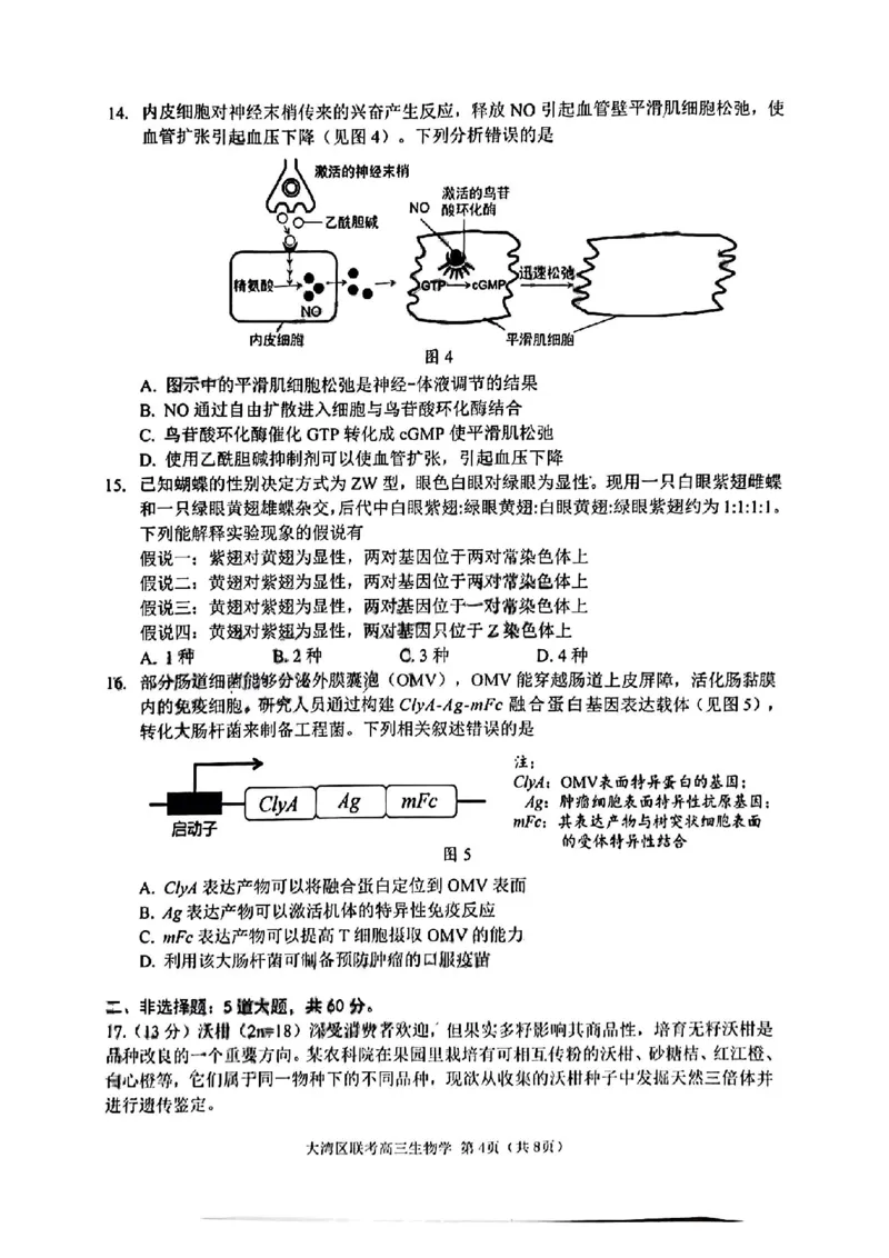 生物试卷_2025年1月_2501142025届广东省大湾区普通高中毕业年级联合模拟考试(一)（全科）_2025届广东省大湾区普通高中毕业年级联合模拟考试(一)生物