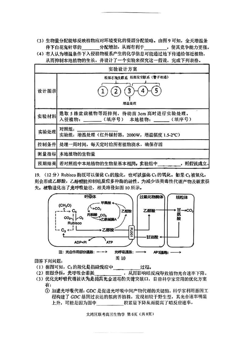 生物试卷_2025年1月_2501142025届广东省大湾区普通高中毕业年级联合模拟考试(一)（全科）_2025届广东省大湾区普通高中毕业年级联合模拟考试(一)生物