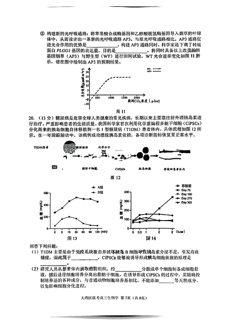 生物试卷_2025年1月_2501142025届广东省大湾区普通高中毕业年级联合模拟考试(一)（全科）_2025届广东省大湾区普通高中毕业年级联合模拟考试(一)生物