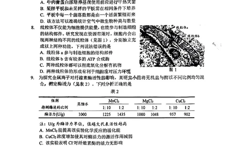 生物试卷_2025年1月_2501142025届广东省大湾区普通高中毕业年级联合模拟考试(一)（全科）_2025届广东省大湾区普通高中毕业年级联合模拟考试(一)生物