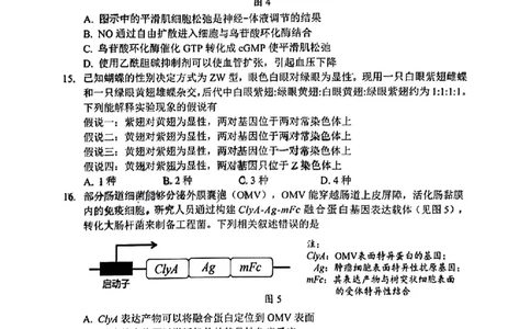 生物试卷_2025年1月_2501142025届广东省大湾区普通高中毕业年级联合模拟考试(一)（全科）_2025届广东省大湾区普通高中毕业年级联合模拟考试(一)生物