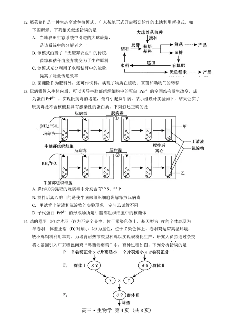 广东省肇庆市2025届高中毕业班第二次模拟考试生物学试题（含答案）_2025年1月_250118广东省肇庆市2025届高中毕业班第二次模拟考试暨汕尾期末考（全科）