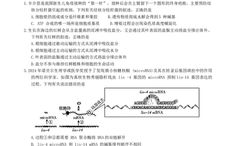 广东省肇庆市2025届高中毕业班第二次模拟考试生物学试题（含答案）_2025年1月_250118广东省肇庆市2025届高中毕业班第二次模拟考试暨汕尾期末考（全科）