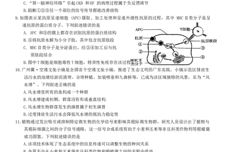 广东省肇庆市2025届高中毕业班第二次模拟考试生物学试题（含答案）_2025年1月_250118广东省肇庆市2025届高中毕业班第二次模拟考试暨汕尾期末考（全科）