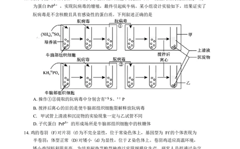 广东省肇庆市2025届高中毕业班第二次模拟考试生物学试题（含答案）_2025年1月_250118广东省肇庆市2025届高中毕业班第二次模拟考试暨汕尾期末考（全科）