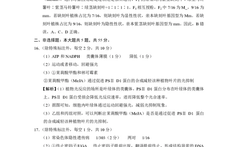 巴蜀中学2025届高考适应性月考卷（七）生物答案_2025年4月_250414重庆市巴蜀中学2025届高三4月适应性月考卷（七）（全科）