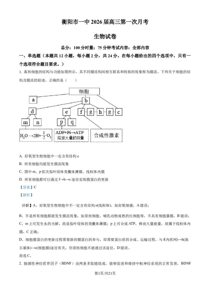 精品解析：湖南省衡阳市第一中学2025-2026学年高三下学期第一次月考生物试卷（解析版）_2025年8月_250804湖南省衡阳市第一中学2026届高三上学期第一次月考