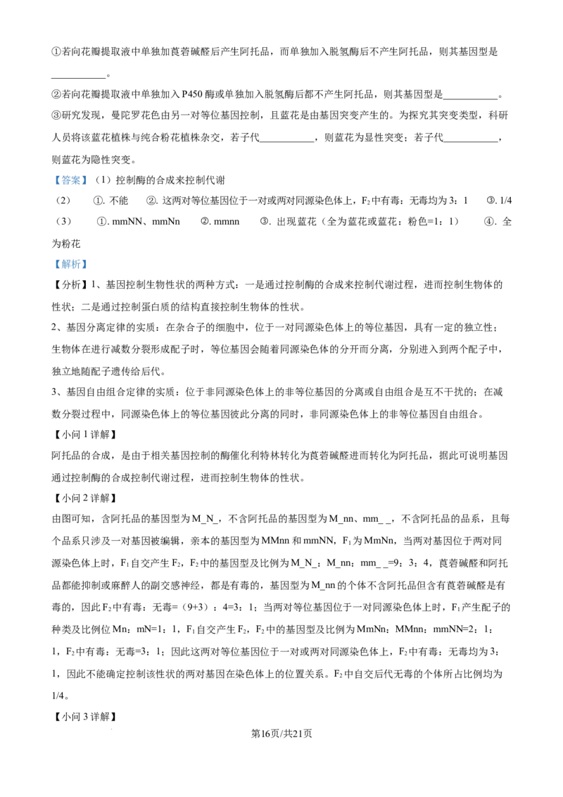 精品解析：湖南省衡阳市第一中学2025-2026学年高三下学期第一次月考生物试卷（解析版）_2025年8月_250804湖南省衡阳市第一中学2026届高三上学期第一次月考
