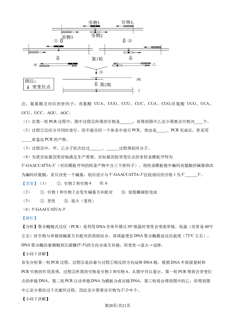 精品解析：湖南省衡阳市第一中学2025-2026学年高三下学期第一次月考生物试卷（解析版）_2025年8月_250804湖南省衡阳市第一中学2026届高三上学期第一次月考