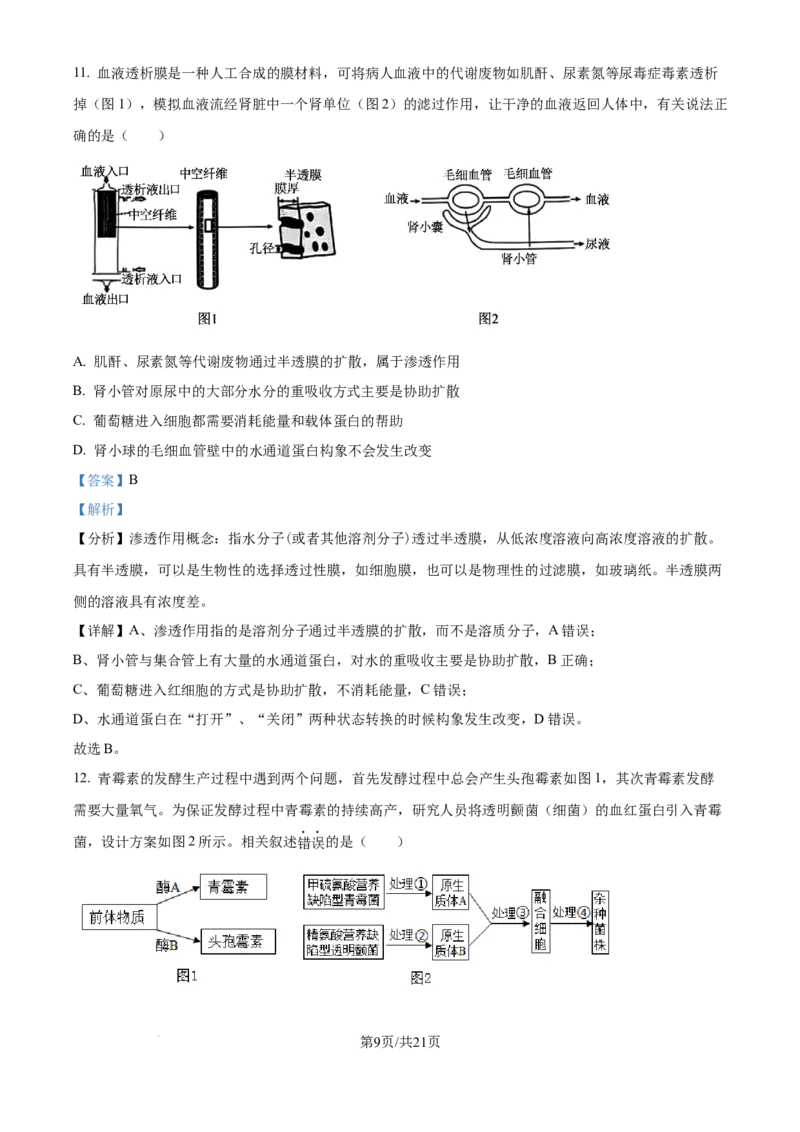 精品解析：湖南省衡阳市第一中学2025-2026学年高三下学期第一次月考生物试卷（解析版）_2025年8月_250804湖南省衡阳市第一中学2026届高三上学期第一次月考