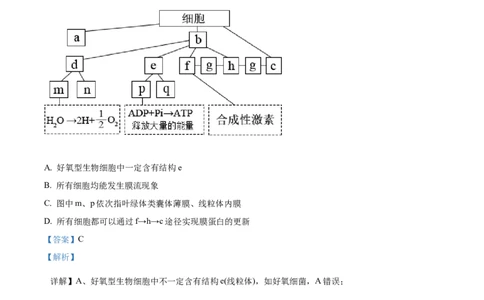 精品解析：湖南省衡阳市第一中学2025-2026学年高三下学期第一次月考生物试卷（解析版）_2025年8月_250804湖南省衡阳市第一中学2026届高三上学期第一次月考
