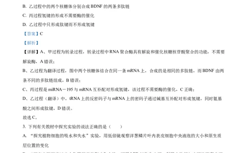 精品解析：湖南省衡阳市第一中学2025-2026学年高三下学期第一次月考生物试卷（解析版）_2025年8月_250804湖南省衡阳市第一中学2026届高三上学期第一次月考