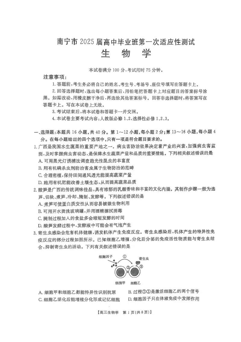 广西壮族自治区2024-2025学年高三上学期期末考试生物试题（含答案）_2025年1月_250110广西南宁市2024-2025学年高中毕业班第一次适应性（广西金太阳1月）（全科）