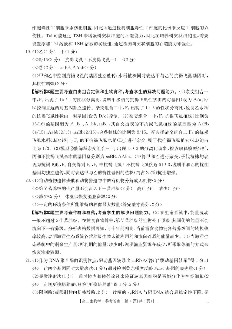广西壮族自治区2024-2025学年高三上学期期末考试生物试题（含答案）_2025年1月_250110广西南宁市2024-2025学年高中毕业班第一次适应性（广西金太阳1月）（全科）