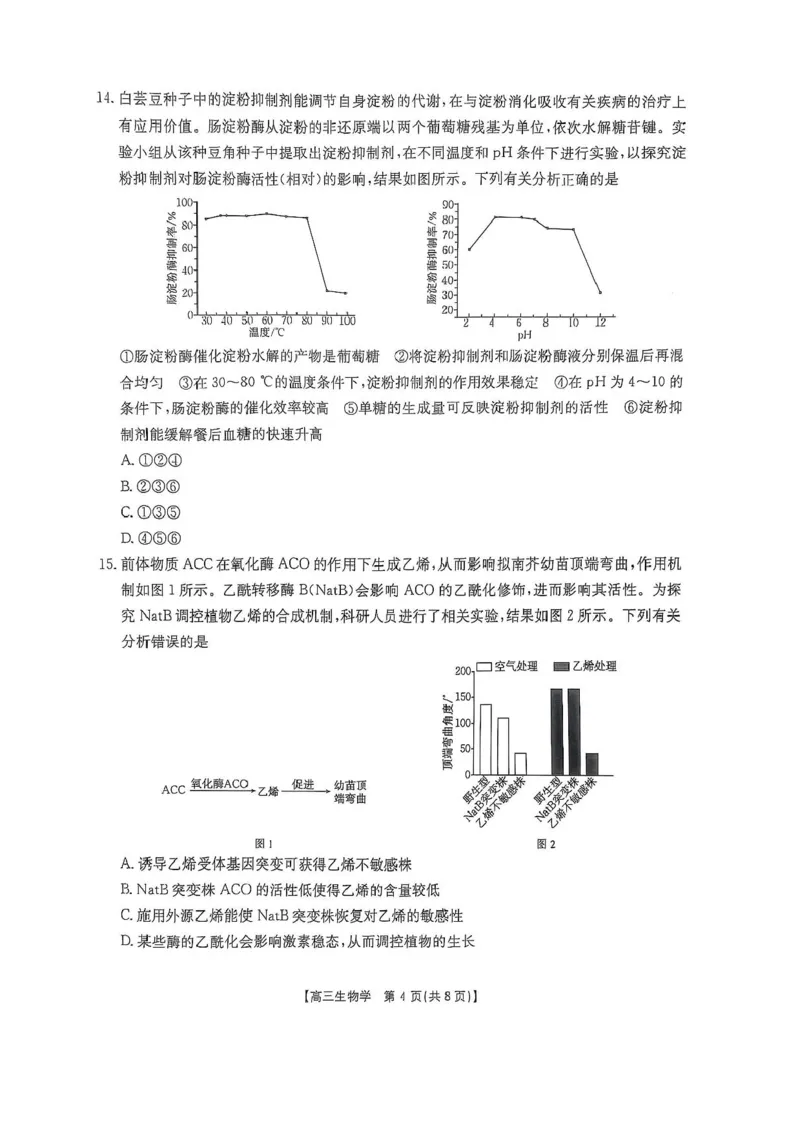 广西壮族自治区2024-2025学年高三上学期期末考试生物试题（含答案）_2025年1月_250110广西南宁市2024-2025学年高中毕业班第一次适应性（广西金太阳1月）（全科）