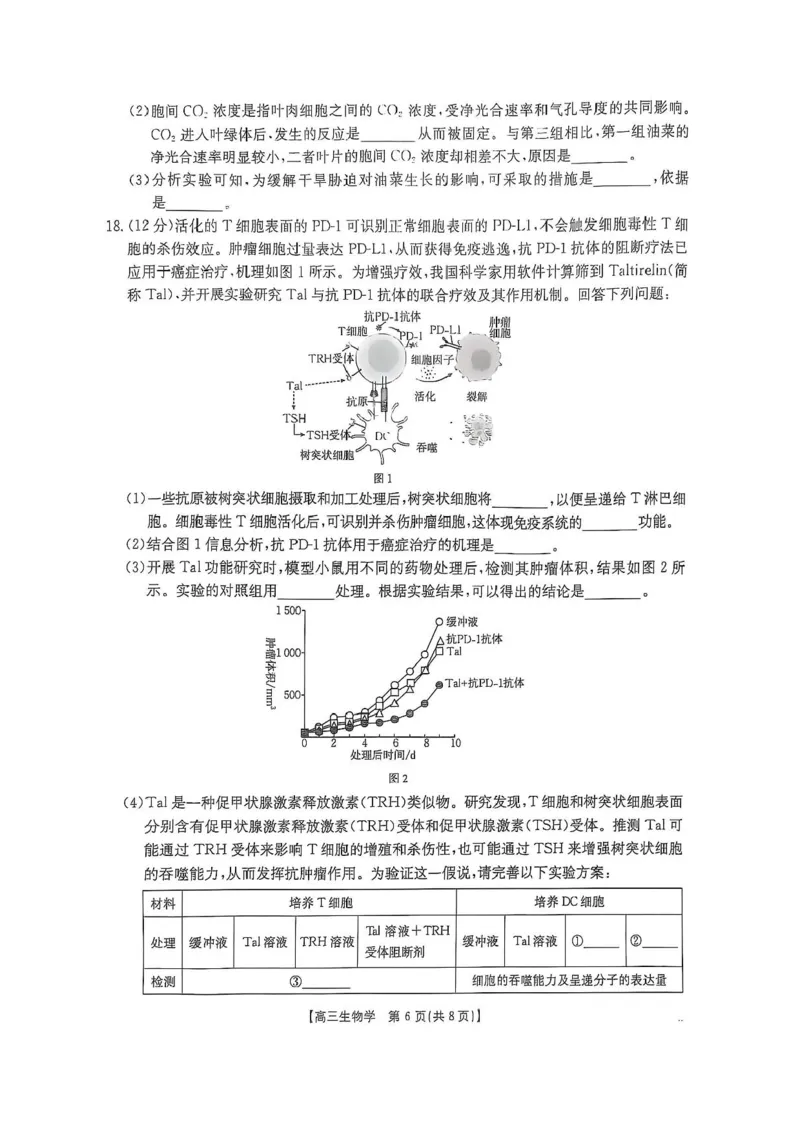 广西壮族自治区2024-2025学年高三上学期期末考试生物试题（含答案）_2025年1月_250110广西南宁市2024-2025学年高中毕业班第一次适应性（广西金太阳1月）（全科）