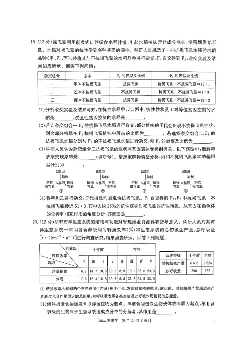 广西壮族自治区2024-2025学年高三上学期期末考试生物试题（含答案）_2025年1月_250110广西南宁市2024-2025学年高中毕业班第一次适应性（广西金太阳1月）（全科）