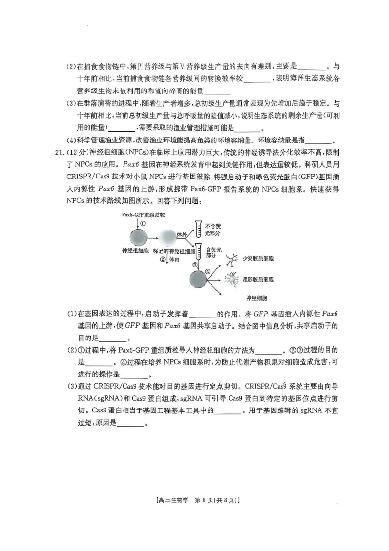 广西壮族自治区2024-2025学年高三上学期期末考试生物试题（含答案）_2025年1月_250110广西南宁市2024-2025学年高中毕业班第一次适应性（广西金太阳1月）（全科）