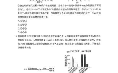 广西壮族自治区2024-2025学年高三上学期期末考试生物试题（含答案）_2025年1月_250110广西南宁市2024-2025学年高中毕业班第一次适应性（广西金太阳1月）（全科）