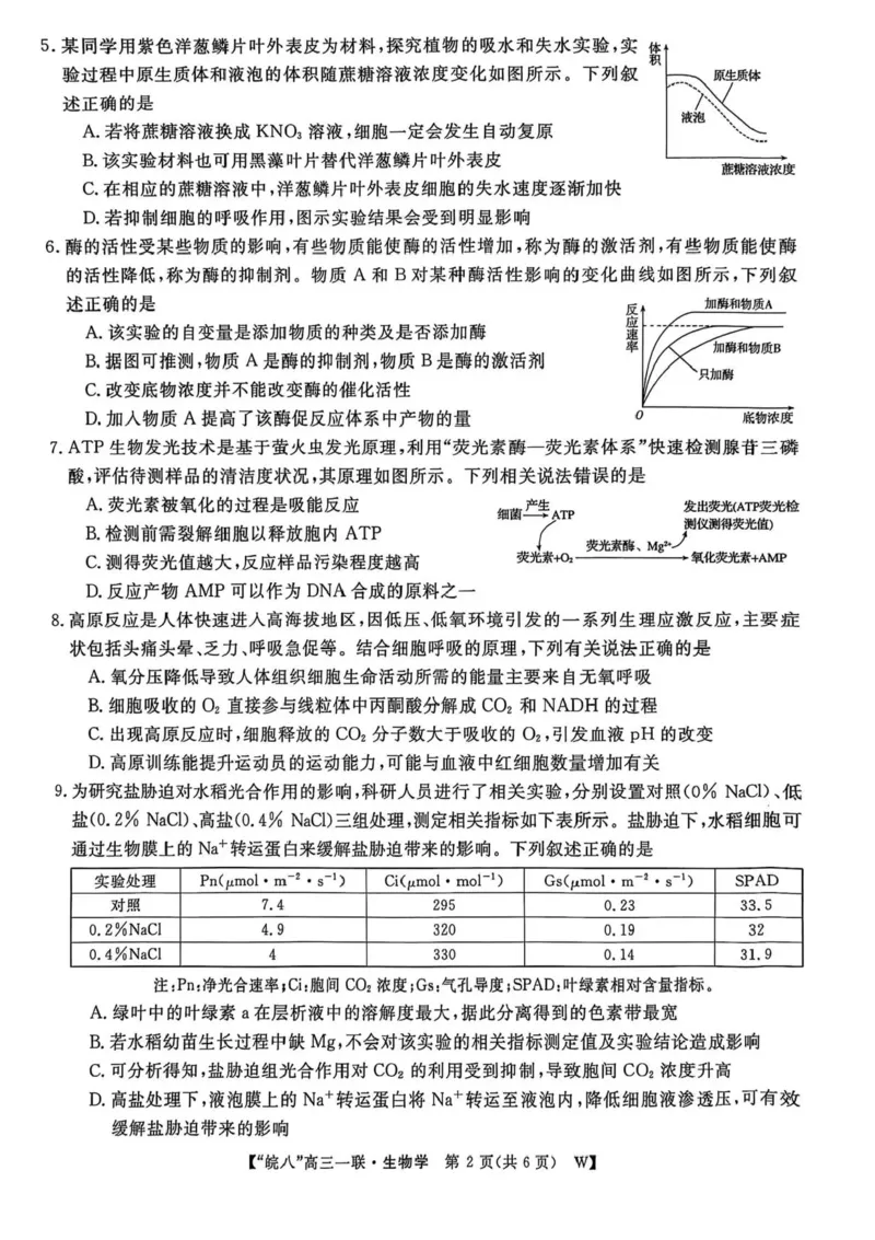 安徽省皖南八校2026届高三上学期第一次大联考生物试卷（含答案）_2025年10月_251021安徽省皖南八校2026届高三上学期第一次大联考（全科）