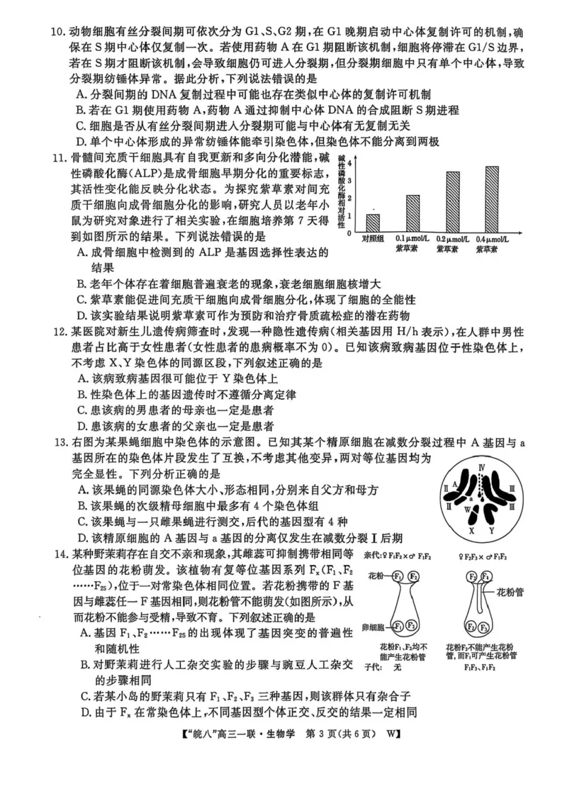 安徽省皖南八校2026届高三上学期第一次大联考生物试卷（含答案）_2025年10月_251021安徽省皖南八校2026届高三上学期第一次大联考（全科）