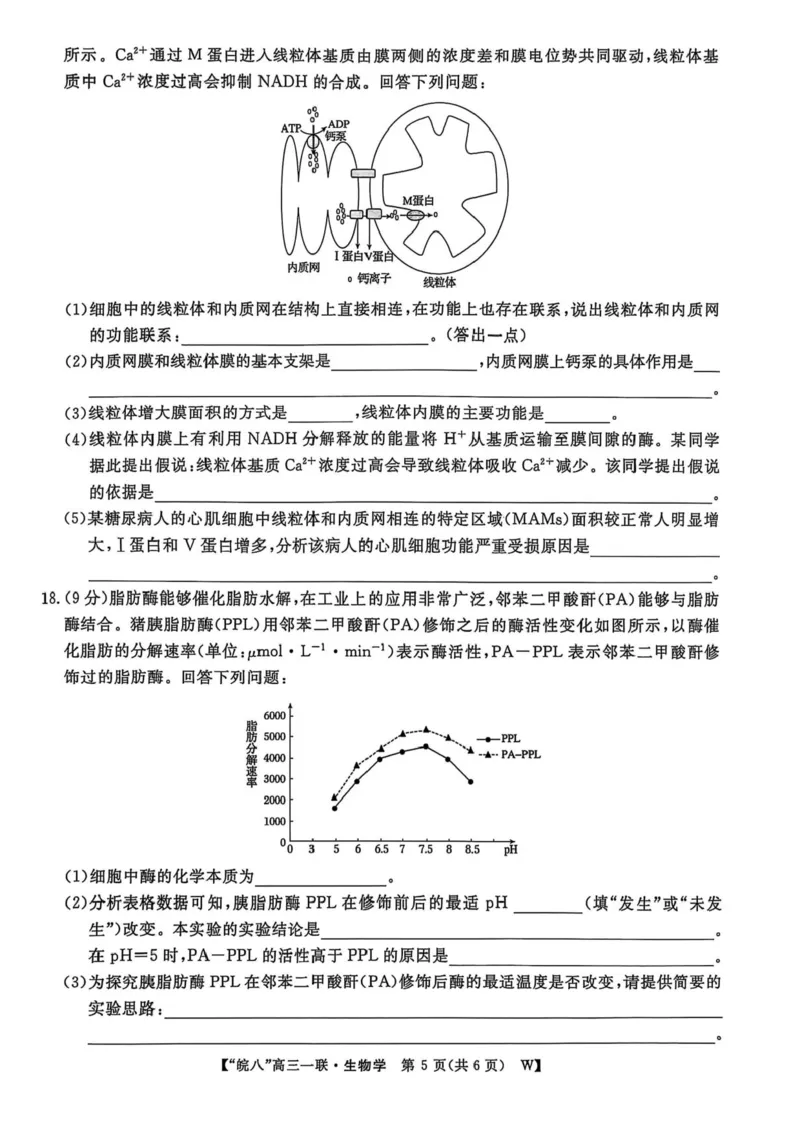 安徽省皖南八校2026届高三上学期第一次大联考生物试卷（含答案）_2025年10月_251021安徽省皖南八校2026届高三上学期第一次大联考（全科）