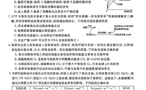 安徽省皖南八校2026届高三上学期第一次大联考生物试卷（含答案）_2025年10月_251021安徽省皖南八校2026届高三上学期第一次大联考（全科）