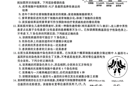 安徽省皖南八校2026届高三上学期第一次大联考生物试卷（含答案）_2025年10月_251021安徽省皖南八校2026届高三上学期第一次大联考（全科）