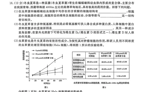 安徽省皖南八校2026届高三上学期第一次大联考生物试卷（含答案）_2025年10月_251021安徽省皖南八校2026届高三上学期第一次大联考（全科）