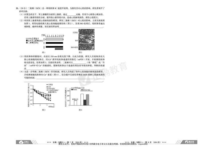 全国卷《正确小卷》2024总复习生物质检卷2_2024高考押题卷_72024正确教育全系列_2024年正确小卷全系列_（全国版）2024《正确小卷&middot;复习质检卷》（九科全）各两套