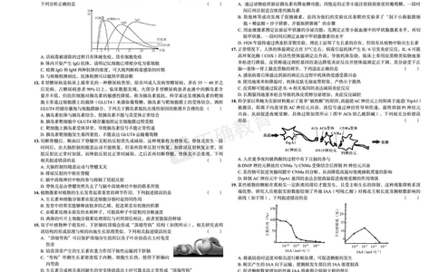全国卷《正确小卷》2024总复习生物质检卷2_2024高考押题卷_72024正确教育全系列_2024年正确小卷全系列_（全国版）2024《正确小卷&middot;复习质检卷》（九科全）各两套