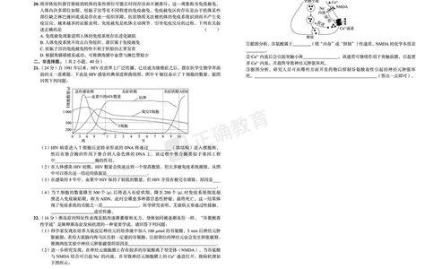 全国卷《正确小卷》2024总复习生物质检卷2_2024高考押题卷_72024正确教育全系列_2024年正确小卷全系列_（全国版）2024《正确小卷&middot;复习质检卷》（九科全）各两套